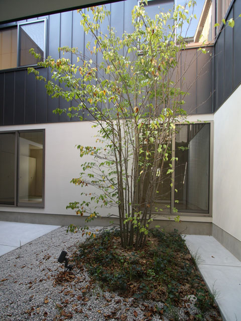 H51photo04